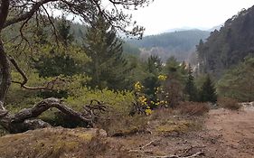 Ferienwohnung Waldliebe Hinterweidenthal
